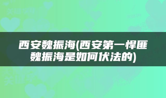 西安魏振海(西安第一悍匪魏振海是如何伏法的)