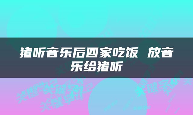 猪听音乐后回家吃饭 放音乐给猪听