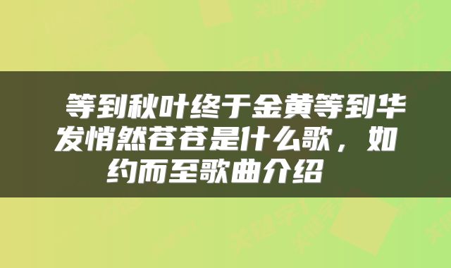  等到秋叶终于金黄等到华发悄然苍苍是什么歌，如约而至歌曲介绍 