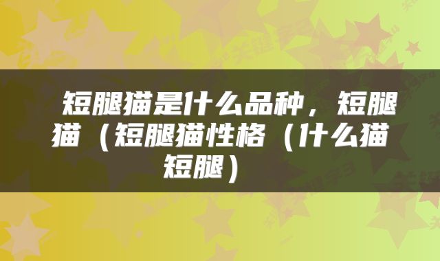  短腿猫是什么品种，短腿猫（短腿猫性格（什么猫短腿） 