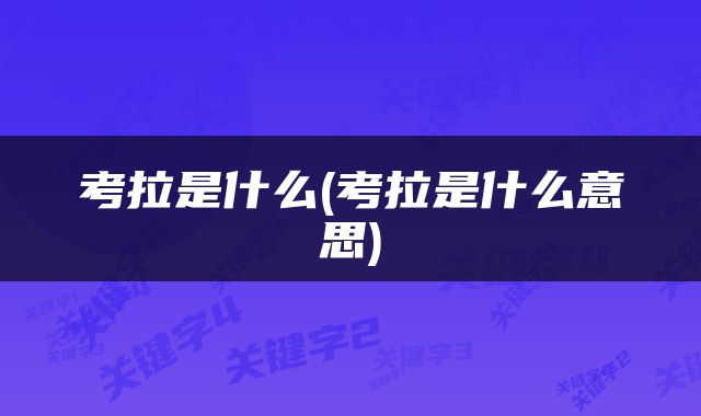 考拉是什么(考拉是什么意思)