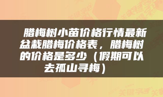  腊梅树小苗价格行情最新盆栽腊梅价格表，腊梅树的价格是多少（假期可以去孤山寻梅） 
