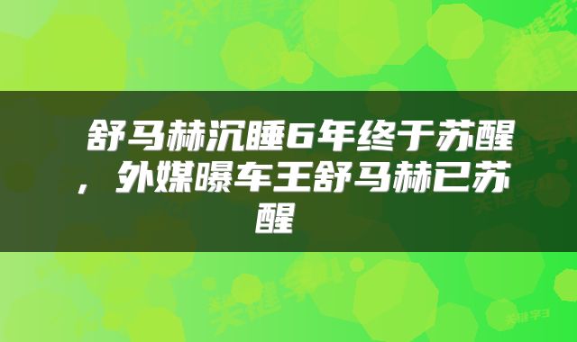  舒马赫沉睡6年终于苏醒，外媒曝车王舒马赫已苏醒 