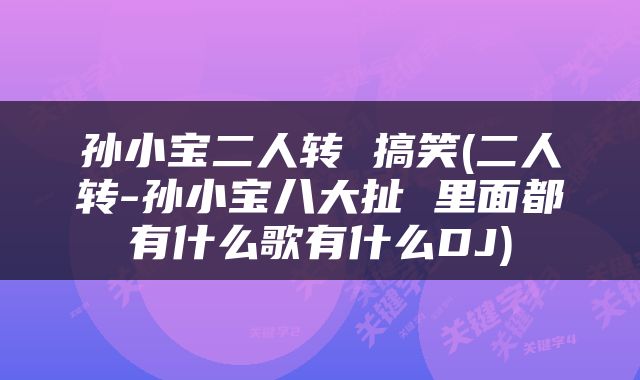 孙小宝二人转 搞笑(二人转-孙小宝八大扯 里面都有什么歌有什么DJ)