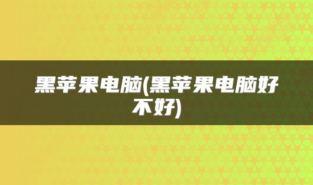 黑苹果电脑(黑苹果电脑好不好)