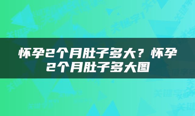 怀孕2个月肚子多大？怀孕2个月肚子多大图