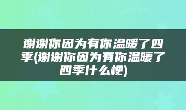 谢谢你因为有你温暖了四季(谢谢你因为有你温暖了四季什么梗)