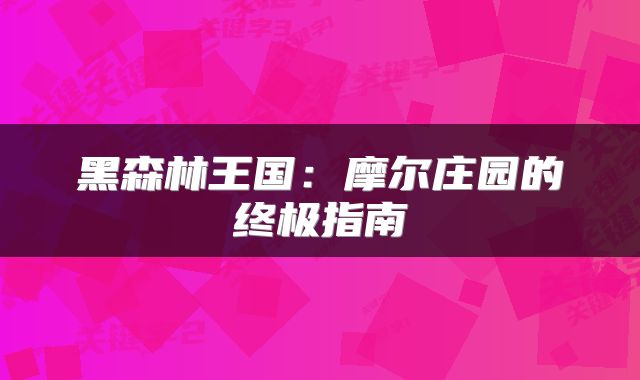 黑森林王国：摩尔庄园的终极指南