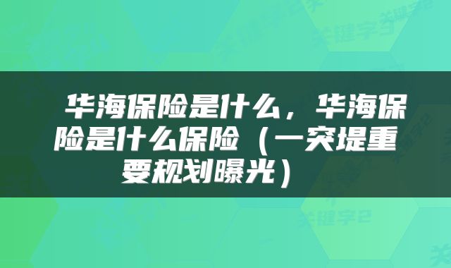  华海保险是什么，华海保险是什么保险（一突堤重要规划曝光） 