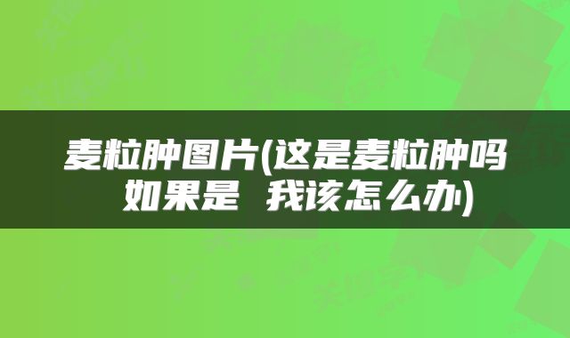 麦粒肿图片(这是麦粒肿吗 如果是 我该怎么办)