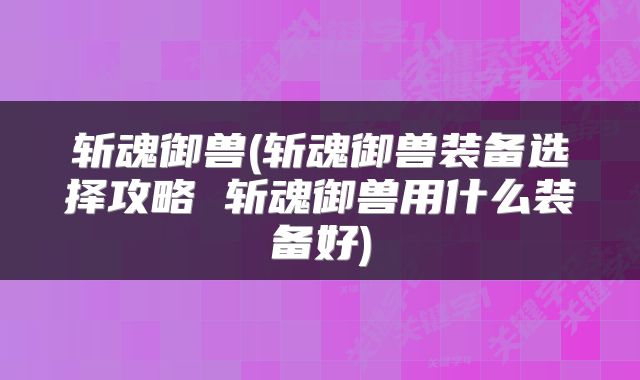 斩魂御兽(斩魂御兽装备选择攻略 斩魂御兽用什么装备好)