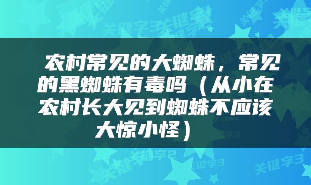  农村常见的大蜘蛛，常见的黑蜘蛛有毒吗（从小在农村长大见到蜘蛛不应该大惊小怪） 