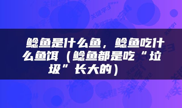  鲶鱼是什么鱼，鲶鱼吃什么鱼饵（鲶鱼都是吃“垃圾”长大的） 