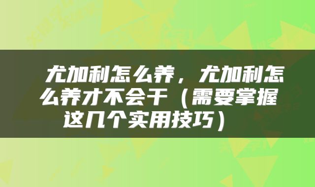  尤加利怎么养，尤加利怎么养才不会干（需要掌握这几个实用技巧） 