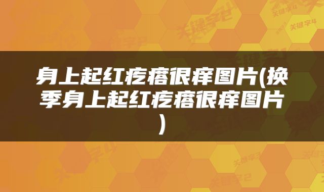 身上起红疙瘩很痒图片(换季身上起红疙瘩很痒图片)