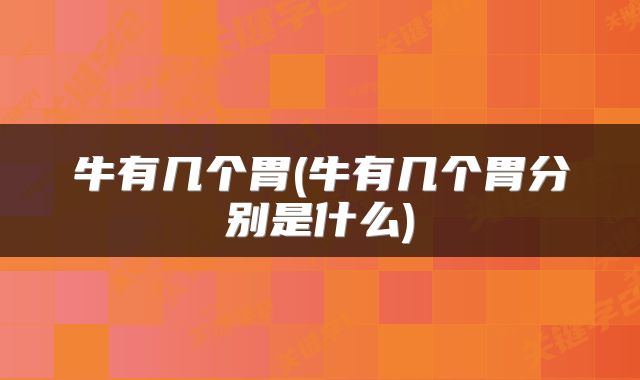 牛有几个胃(牛有几个胃分别是什么)