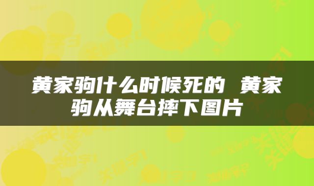 黄家驹什么时候死的 黄家驹从舞台摔下图片