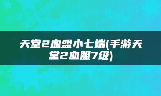 天堂2血盟小七端(手游天堂2血盟7级)