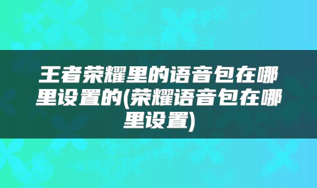 王者荣耀里的语音包在哪里设置的(荣耀语音包在哪里设置)
