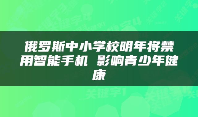 俄罗斯中小学校明年将禁用智能手机 影响青少年健康