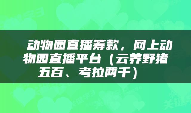  动物园直播筹款，网上动物园直播平台（云养野猪五百、考拉两千） 
