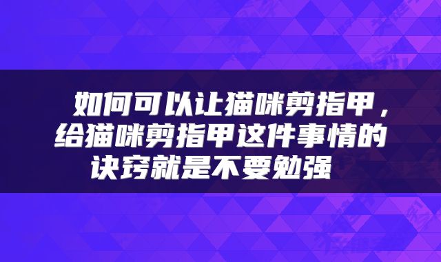 如何可以让猫咪剪指甲,给猫咪剪指甲这件事情的诀窍就是不要勉强