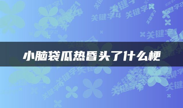 小脑袋瓜热昏头了什么梗