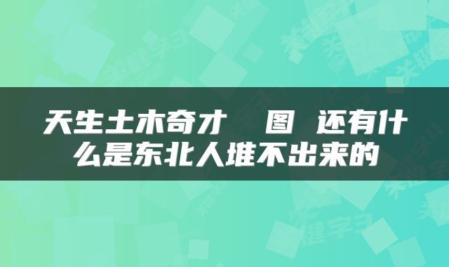 天生土木奇才 囧图 还有什么是东北人堆不出来的
