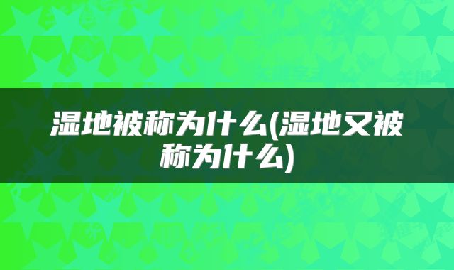 湿地被称为什么(湿地又被称为什么)