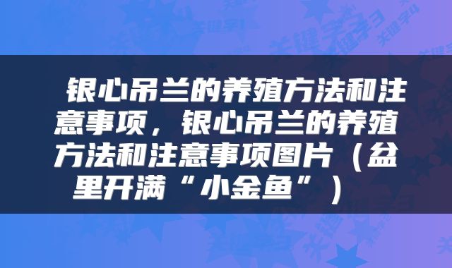  银心吊兰的养殖方法和注意事项，银心吊兰的养殖方法和注意事项图片（盆里开满“小金鱼”） 
