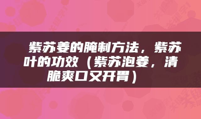 紫苏姜的腌制方法,紫苏叶的功效(紫苏泡姜,清脆爽口又开胃)