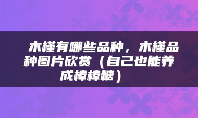  木槿有哪些品种，木槿品种图片欣赏（自己也能养成棒棒糖） 