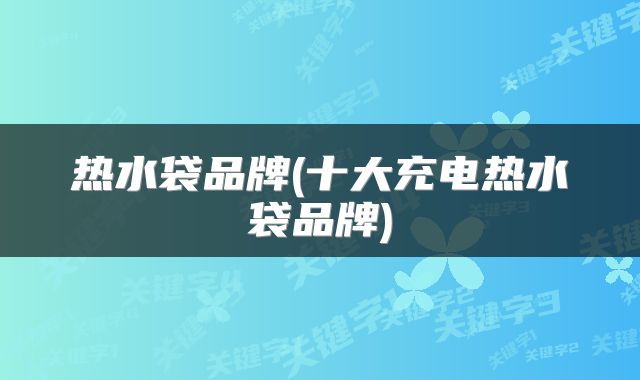 热水袋品牌(十大充电热水袋品牌)