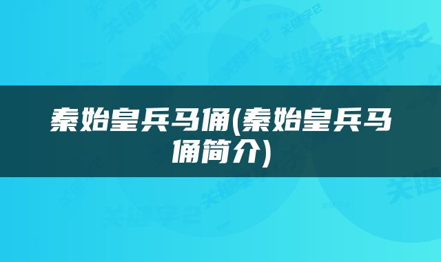 秦始皇兵马俑(秦始皇兵马俑简介)