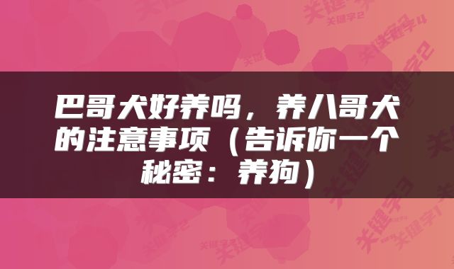 巴哥犬好养吗，养八哥犬的注意事项（告诉你一个秘密：养狗）