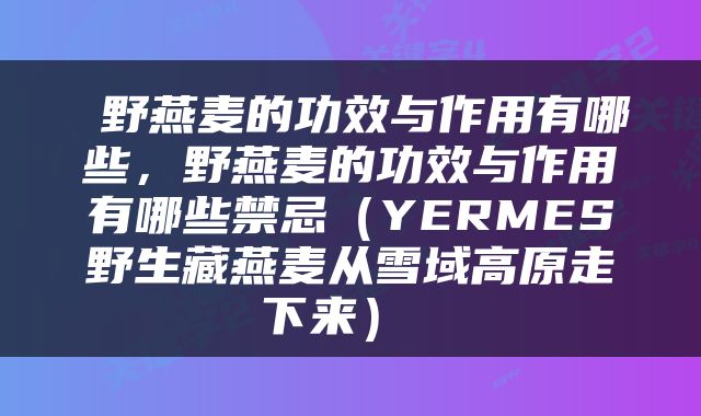  野燕麦的功效与作用有哪些，野燕麦的功效与作用有哪些禁忌（YERMES野生藏燕麦从雪域高原走下来） 