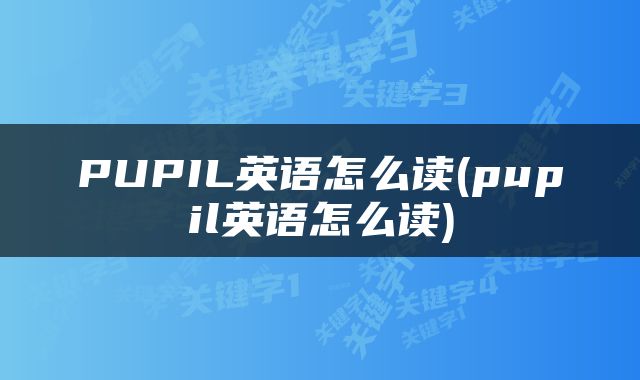 PUPIL英语怎么读(pupil英语怎么读)