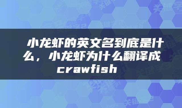  小龙虾的英文名到底是什么，小龙虾为什么翻译成crawfish 