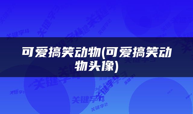 可爱搞笑动物(可爱搞笑动物头像)
