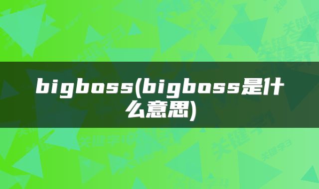 bigboss(bigboss是什么意思)