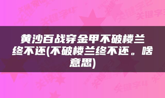 黄沙百战穿金甲不破楼兰终不还(不破楼兰终不还。啥意思)