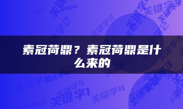 素冠荷鼎？素冠荷鼎是什么来的