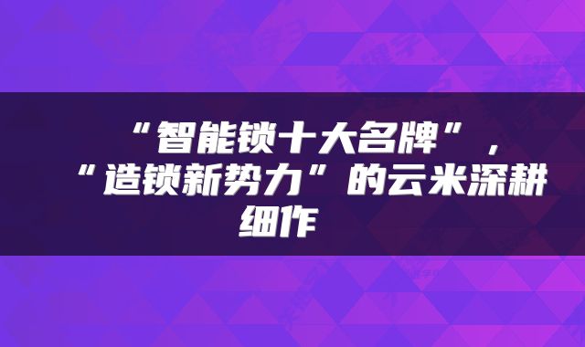  “智能锁十大名牌”，“造锁新势力”的云米深耕细作 