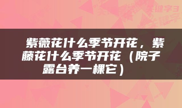  紫薇花什么季节开花，紫藤花什么季节开花（院子露台养一棵它） 