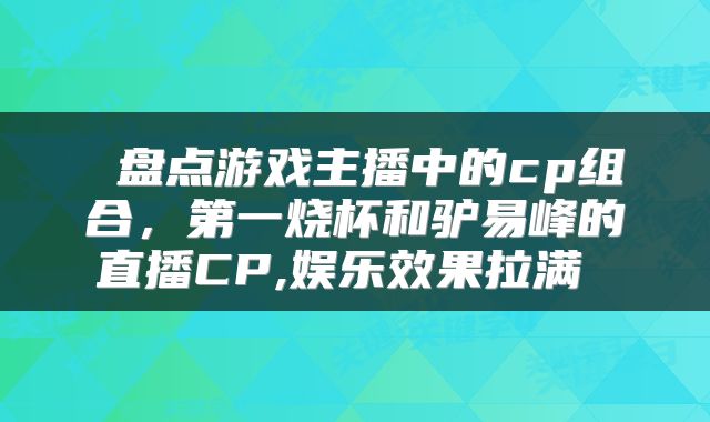 盘点游戏主播中的cp组合，第一烧杯和驴易峰的直播CP,娱乐效果拉满 