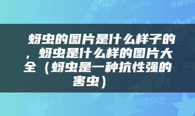  蚜虫的图片是什么样子的，蚜虫是什么样的图片大全（蚜虫是一种抗性强的害虫） 
