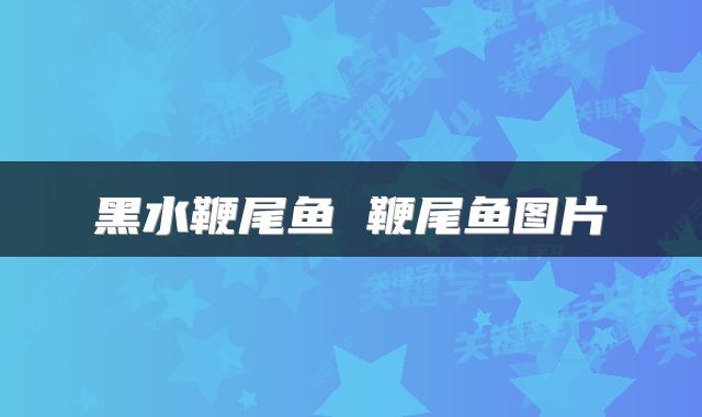 黑水鞭尾鱼 鞭尾鱼图片
