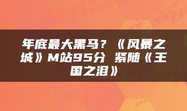 年底最大黑马？《风暴之城》M站95分 紧随《王国之泪》