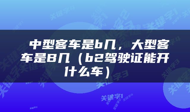  中型客车是b几，大型客车是B几（b2驾驶证能开什么车） 