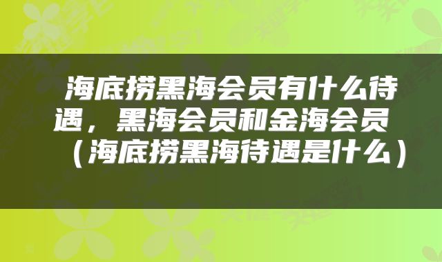  海底捞黑海会员有什么待遇，黑海会员和金海会员（海底捞黑海待遇是什么） 